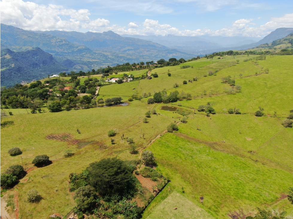 ESPECTAVCULARES LOTES EN TARSO CON HERMOSA VISTA PANORÁMICA