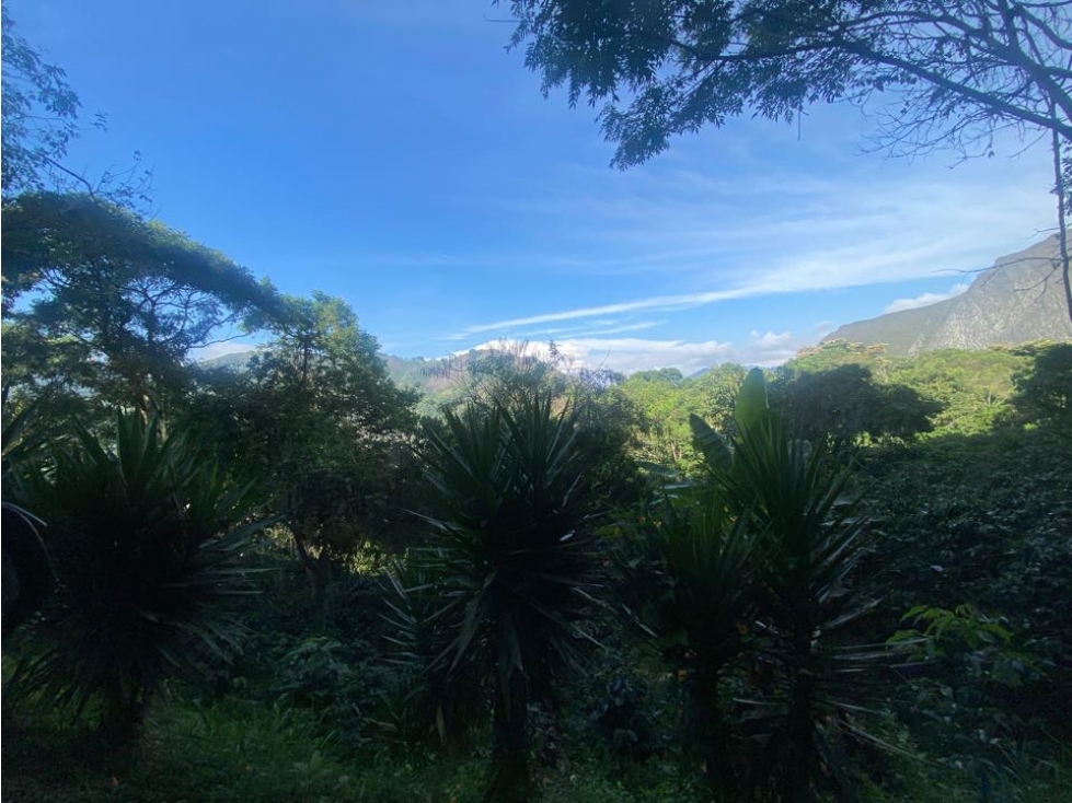 Vendo lote en parcelación agrícola vereda Bermejal