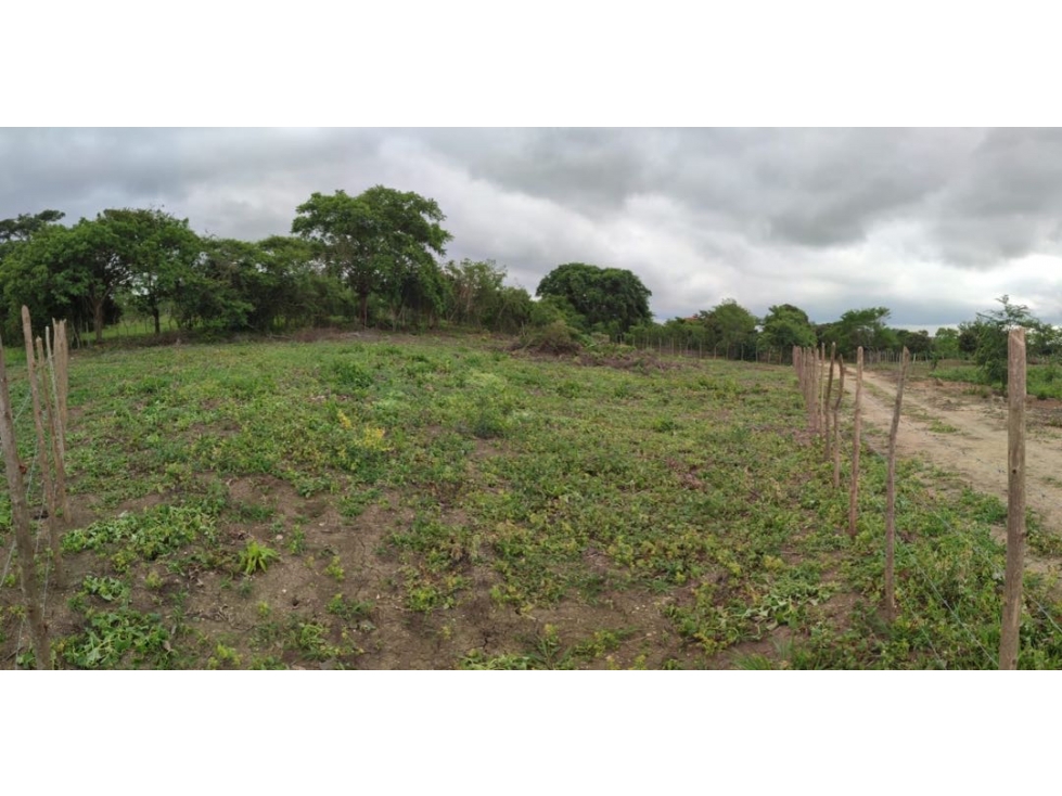 ¡VENDO LOTE EN ZONA NORTE - VIA TIERRA BAJA - PUERTO REY!