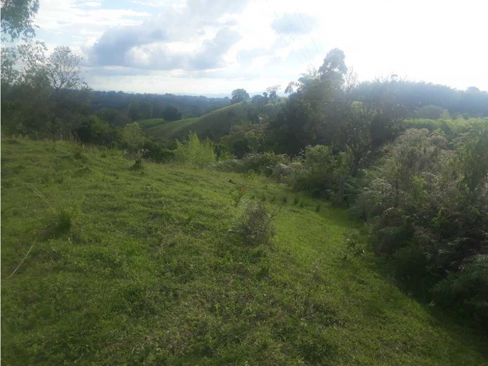 Finca para la venta en filandia con bosque