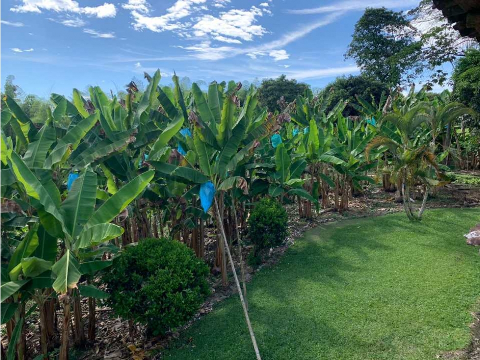 Finca para la venta con espectacular vista en la tebaida via al valle