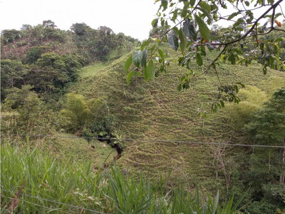 Finca ganadera en filandia 14 cuadras con vista y excelente aguas