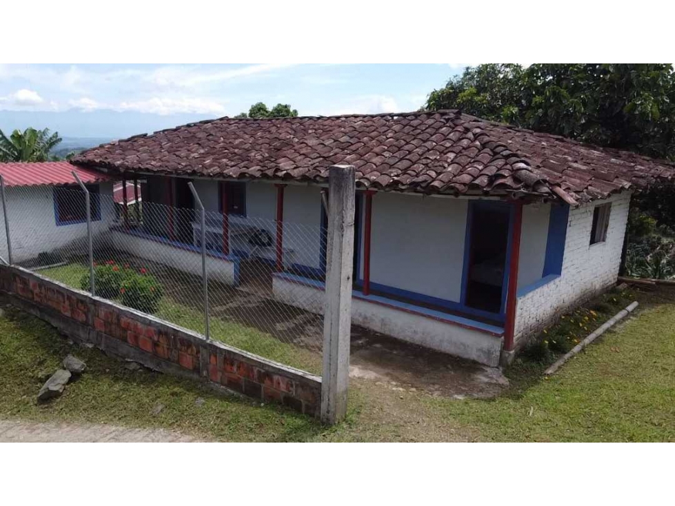 SE VENDE Finca cultivada en cafe  El Municipio de Filandia, Quindio.