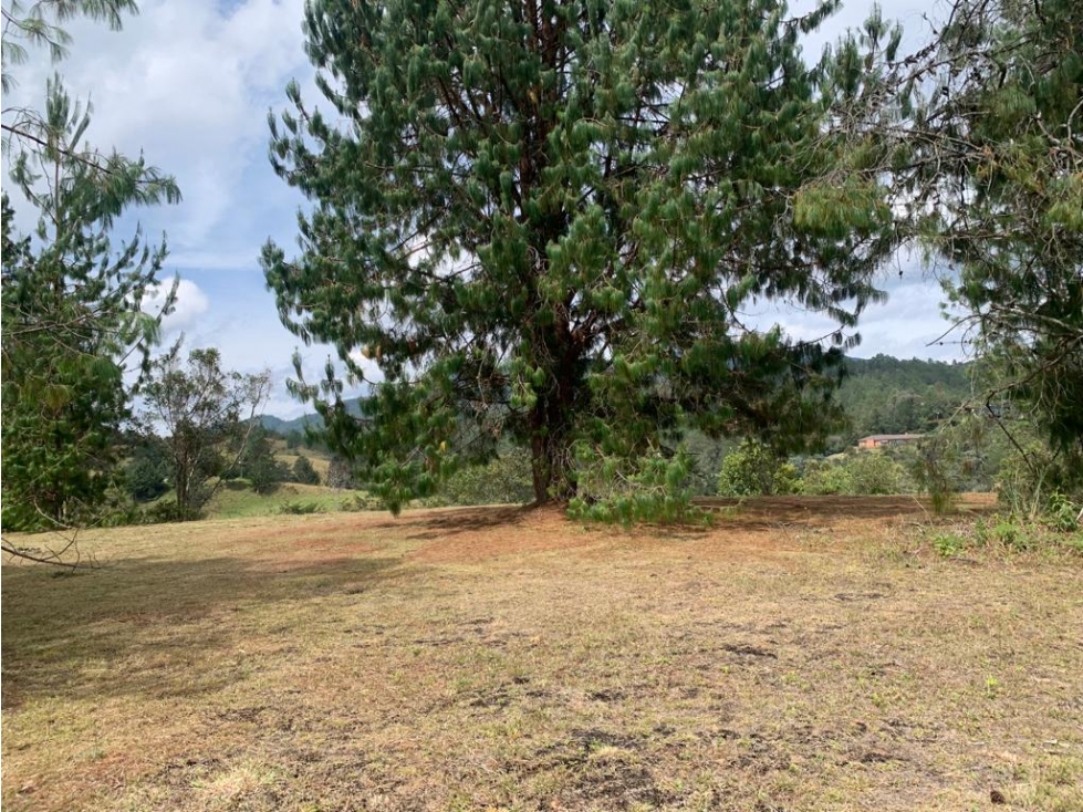 Venta de Lote en el Retiro  Antioquia, Vereda Carrizales