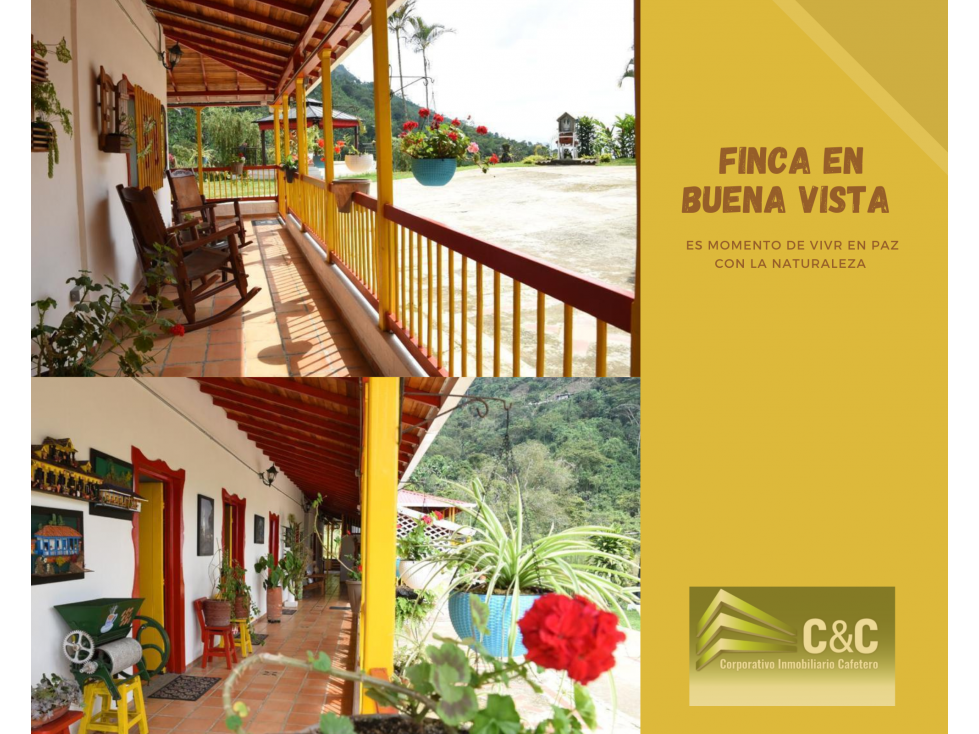 FINCA DE 7 CUADRAS EN BUENA VISTA 4908