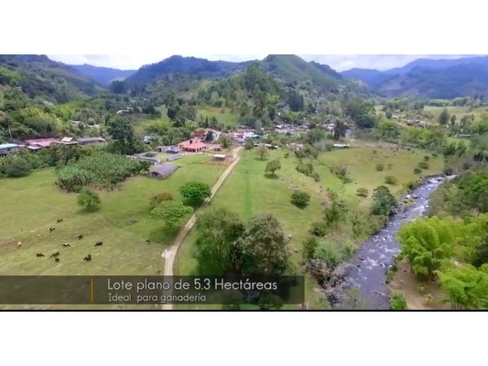 FINCA GANADERA  Y TURISMO SALENTO BOQUIA 4742