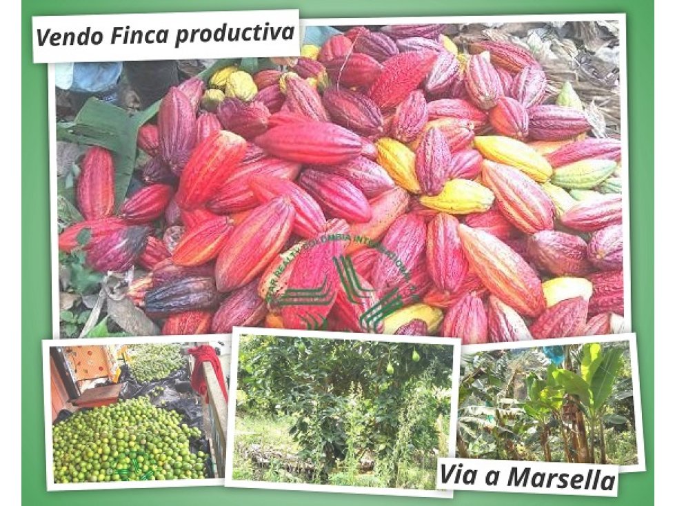 Finca productiva a la venta via a Marsella