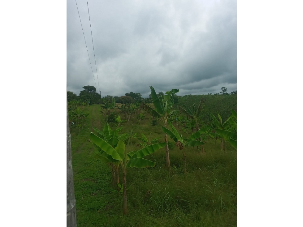 Vendo Finca buen potencial Agroturisico en Ulloa Valle