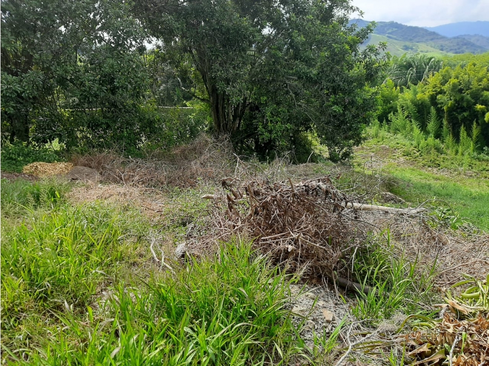 Venta lote - Brisas de Santagueda