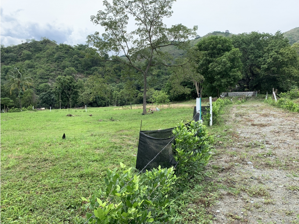 LOTES DE TERRENO PARA FINCA EN SANTA FE DE ANTIOQUIA V. CHORQUINA