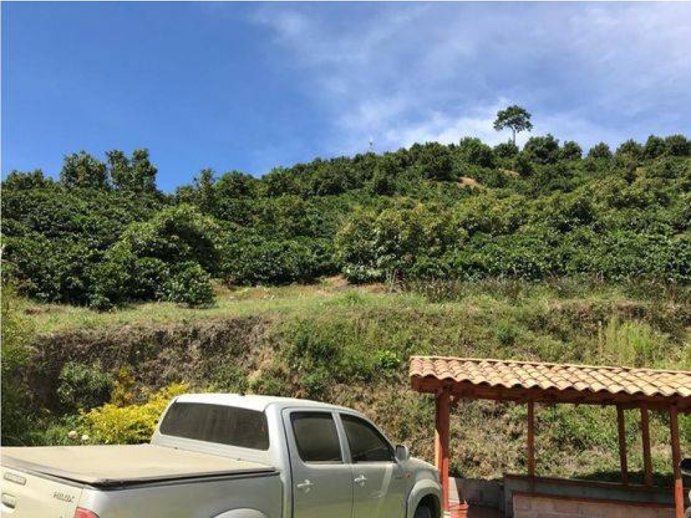 VENDO FINCA FÉRTIL DE 25 Ha CON SEMBRADOS DE CAFÉ Y AGUACATE EN SONSÓN