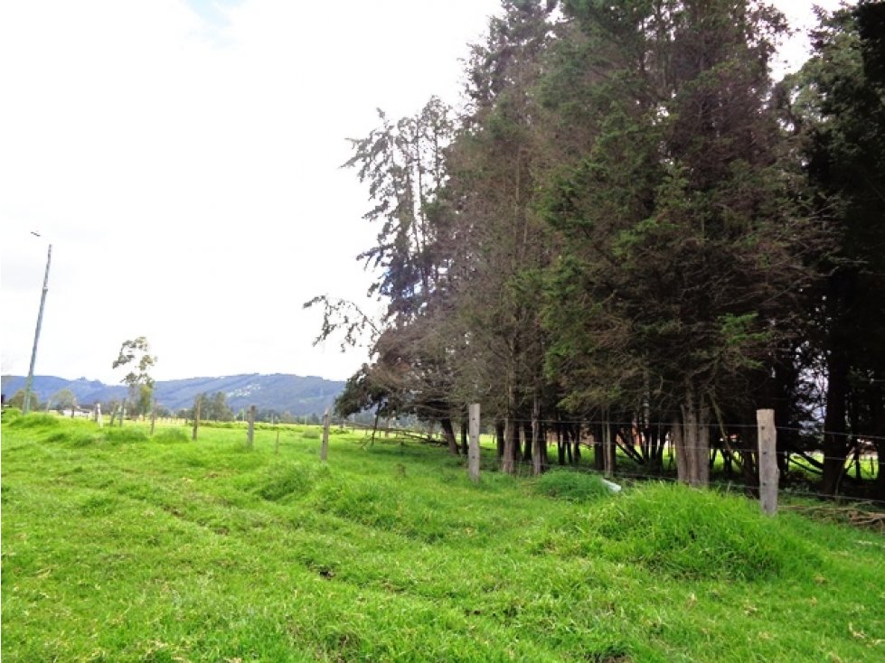 Venta de Lote  la  Mesa Cundinamarca