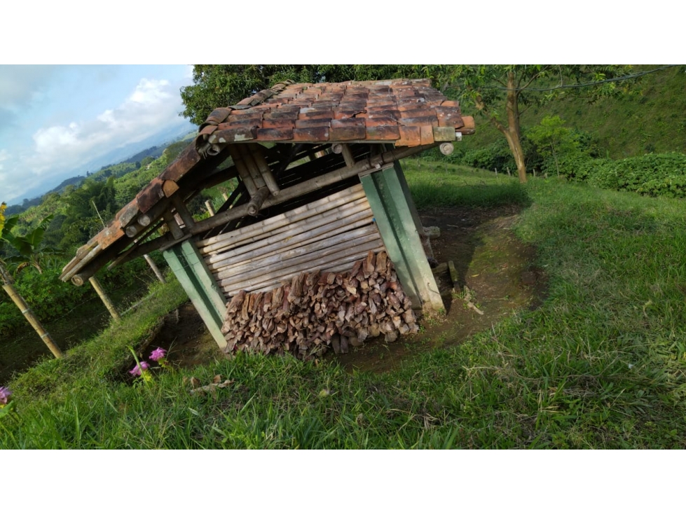 Vendo finca Ganadera 4 cuadras en Filandia Quindio