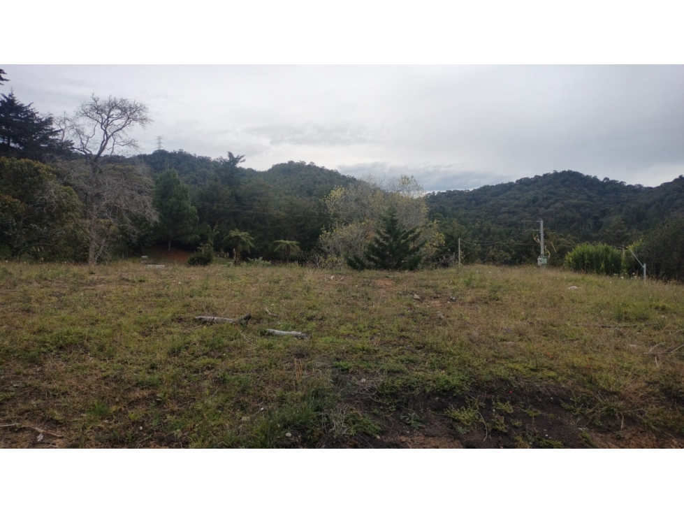 Lote con Reserva Forestal en Venta Sector La Ceja del Tambo