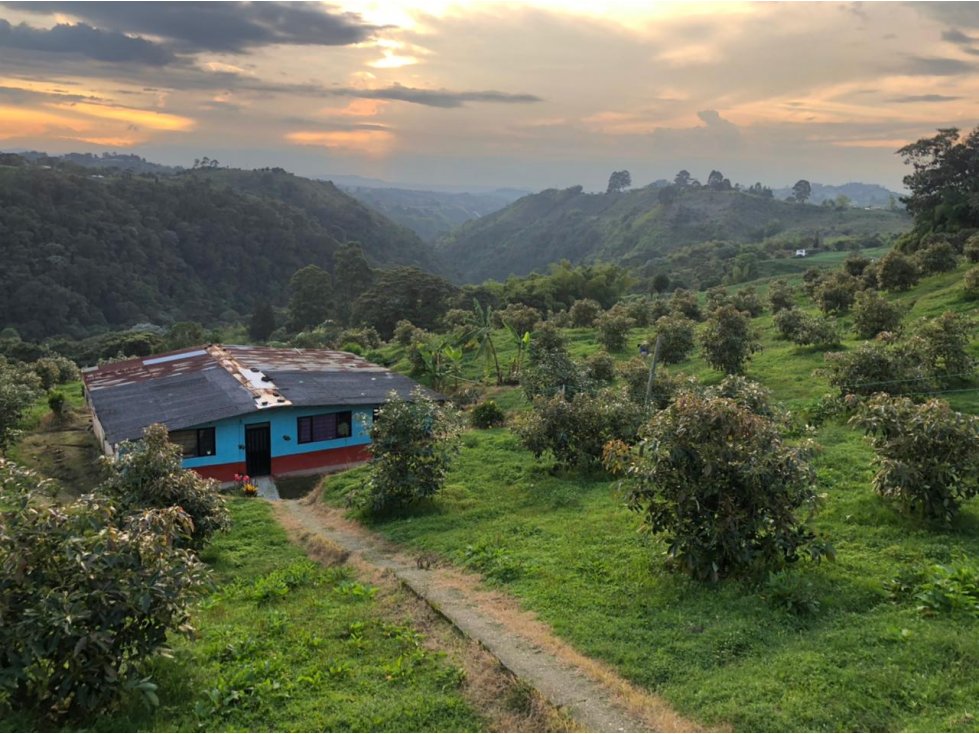 Venta Finca La Bella - Pereira