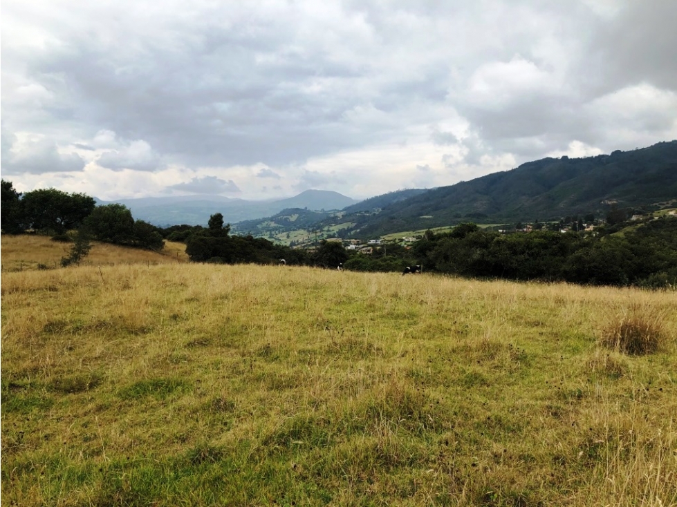 Lote de hectárea en la Subida a Yerbabuena, Chia