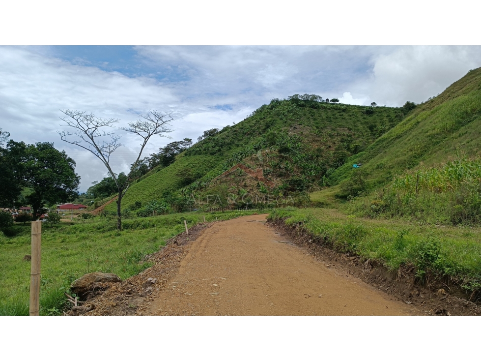 VENTA DE LOTE CAMPESTRE EN EL TOTUMO, IBAGUÉ