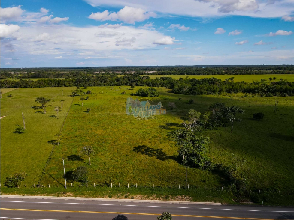 Descubre esta Increíble Finca de 5 Hectáreas