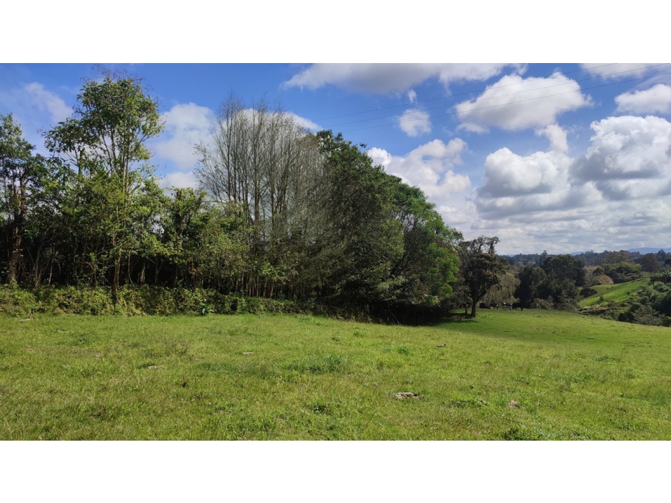 lote para venta Rionegro  Antioquia Rancherías SM