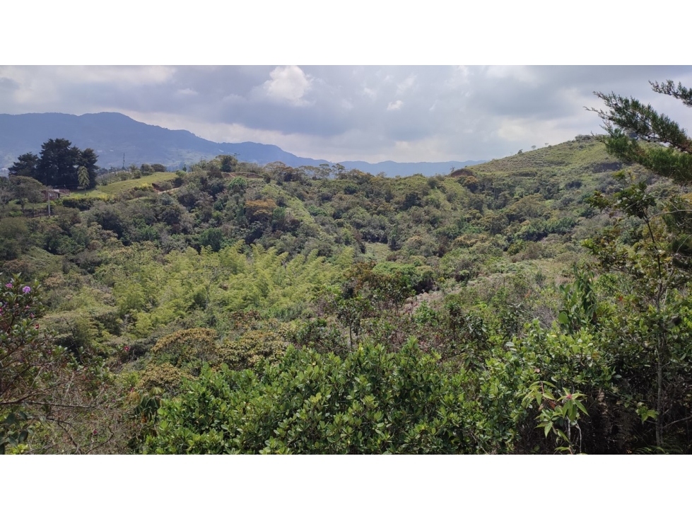 finca, terreno, lote en venta el peñol Antioquia 9 HA