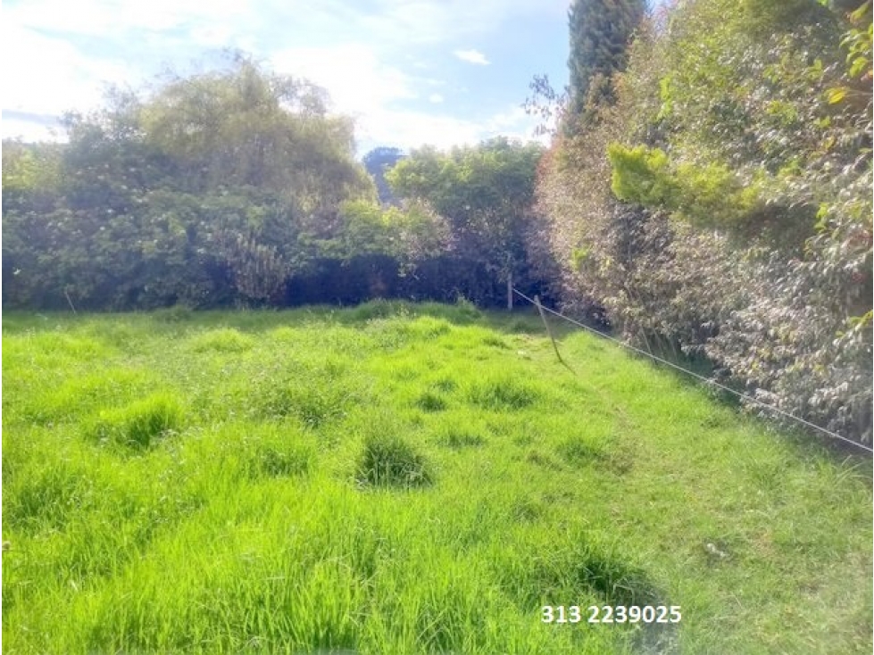 VENDO LOTE EN TABIO-CUNDINAMARCA (REF. F/88)