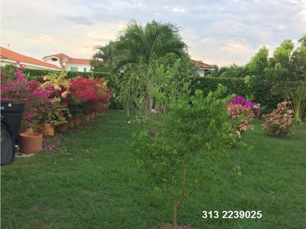 VENDO CASA CAMPESTRE EN CARMEN DE APICALA- TOLIMA (REF. F/84)