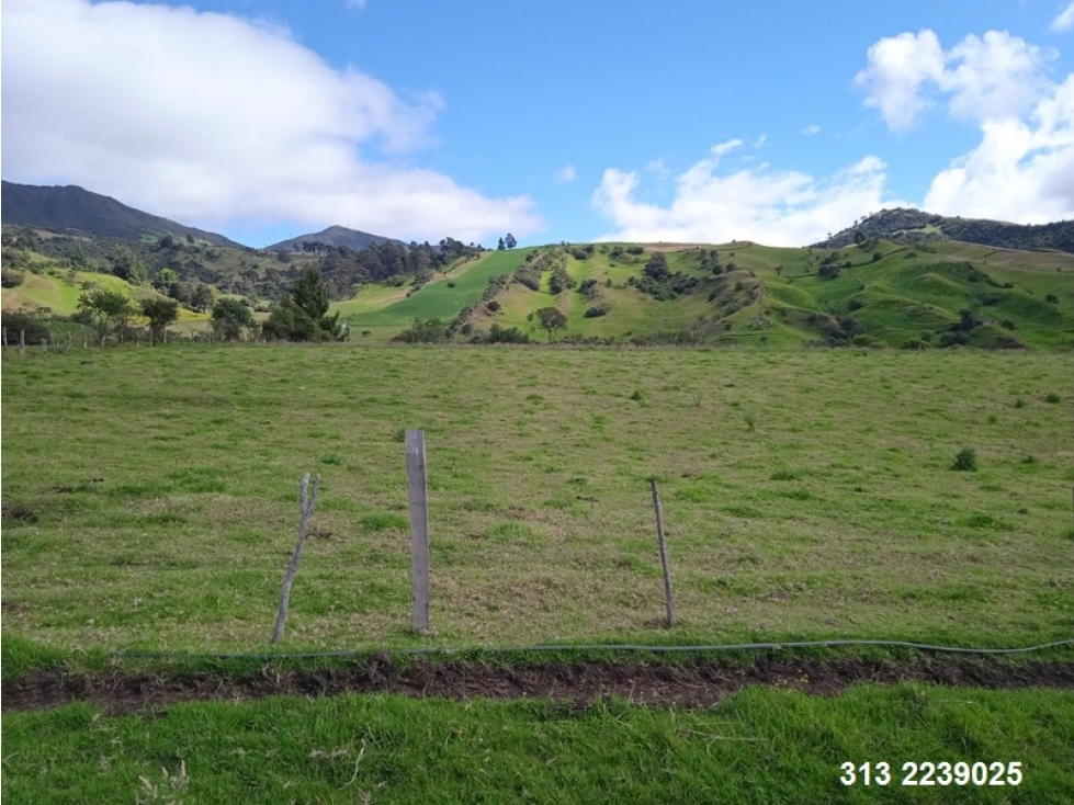 VENDO FINCA EN CIUDAD BOLIVAR-BOGOTA-CUNDINAMARCA (REF. F/43)