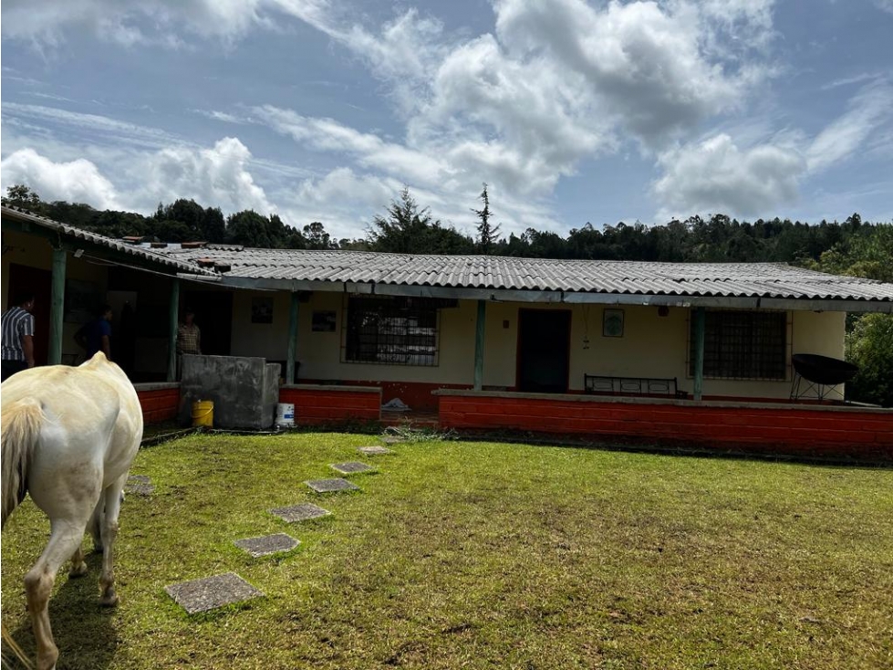 HERMOSA FINCA EN VENTA GUARNE