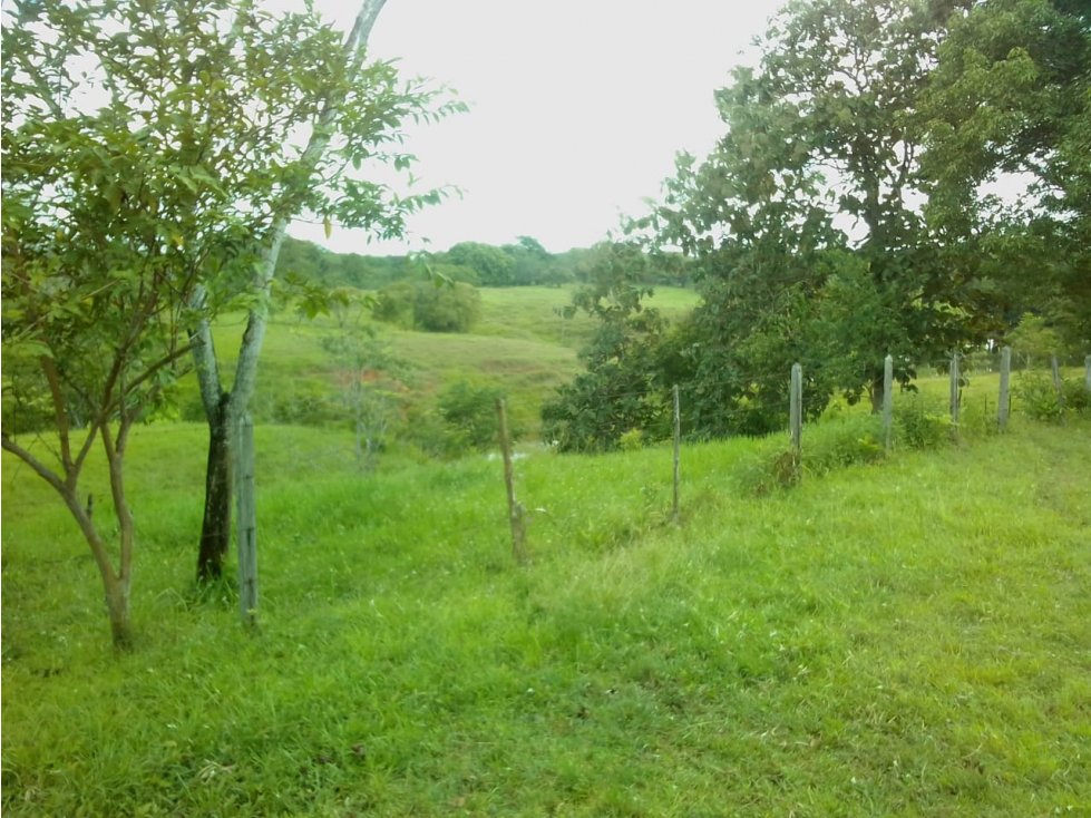 FINCA EN MONTELÍBANO, CORDOBA