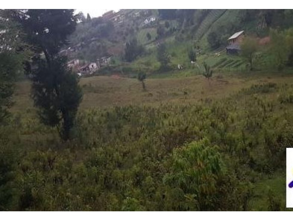 Venta de lote uso industrial y residencial Guarne Antioquia