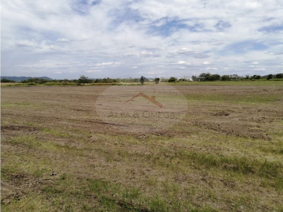 VENDO O PERMUTO LOTE HACIENDA LA MIEL IBAGUE.EA