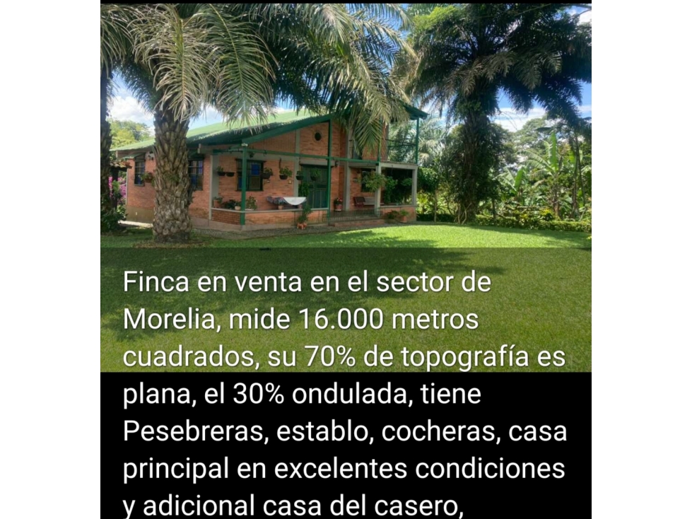 finca venta sector morelia