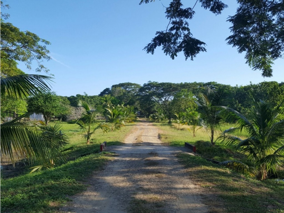 38749 - Finca para Venta en Bayunca