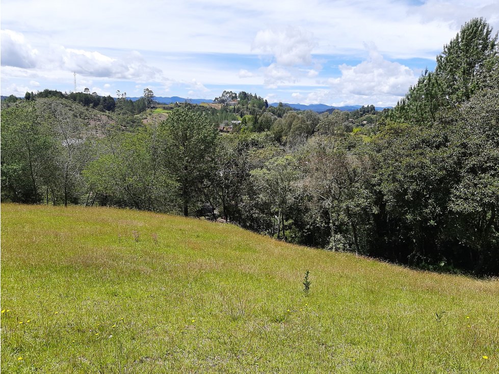 Venta Lote en el alto de las Palmas