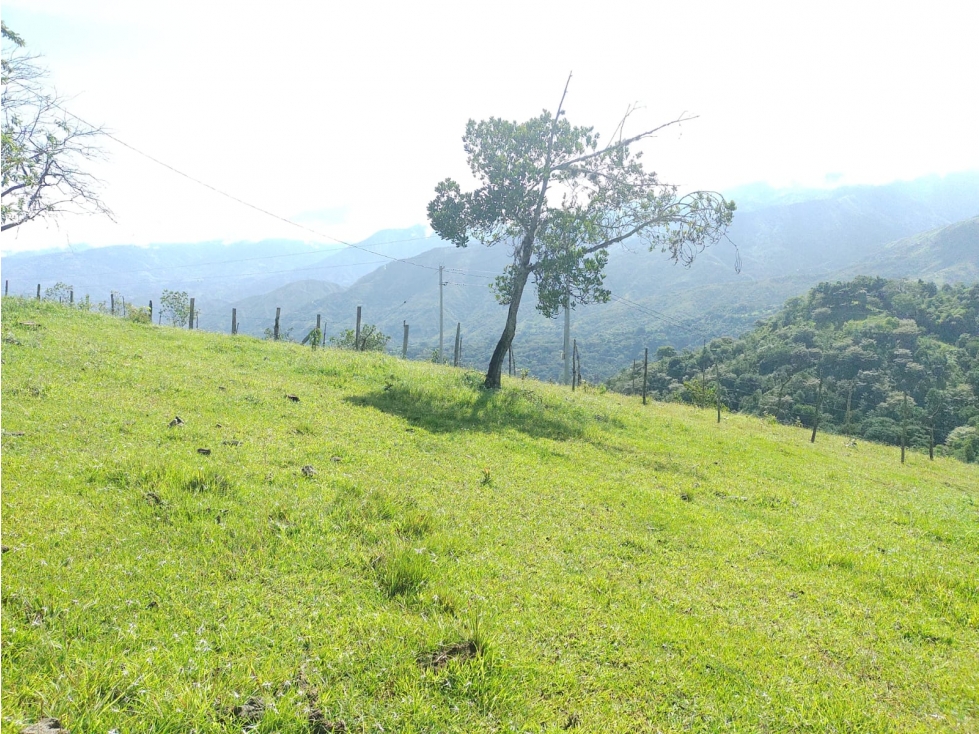 Lote San Jerónimo, Vereda Loma Hermosa, para la venta