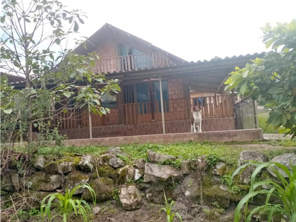 SE VENDE CASA LOTE EN CORINTO BOYACA