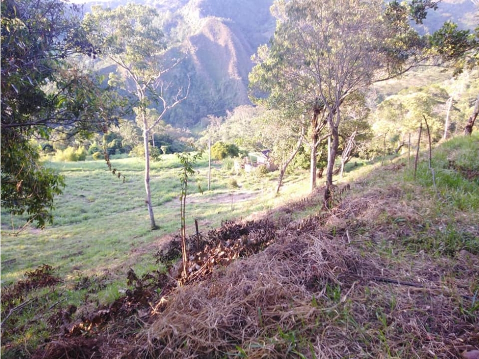 SE VENDE FINCA SAN FRANCISCO SOLO PASTOS