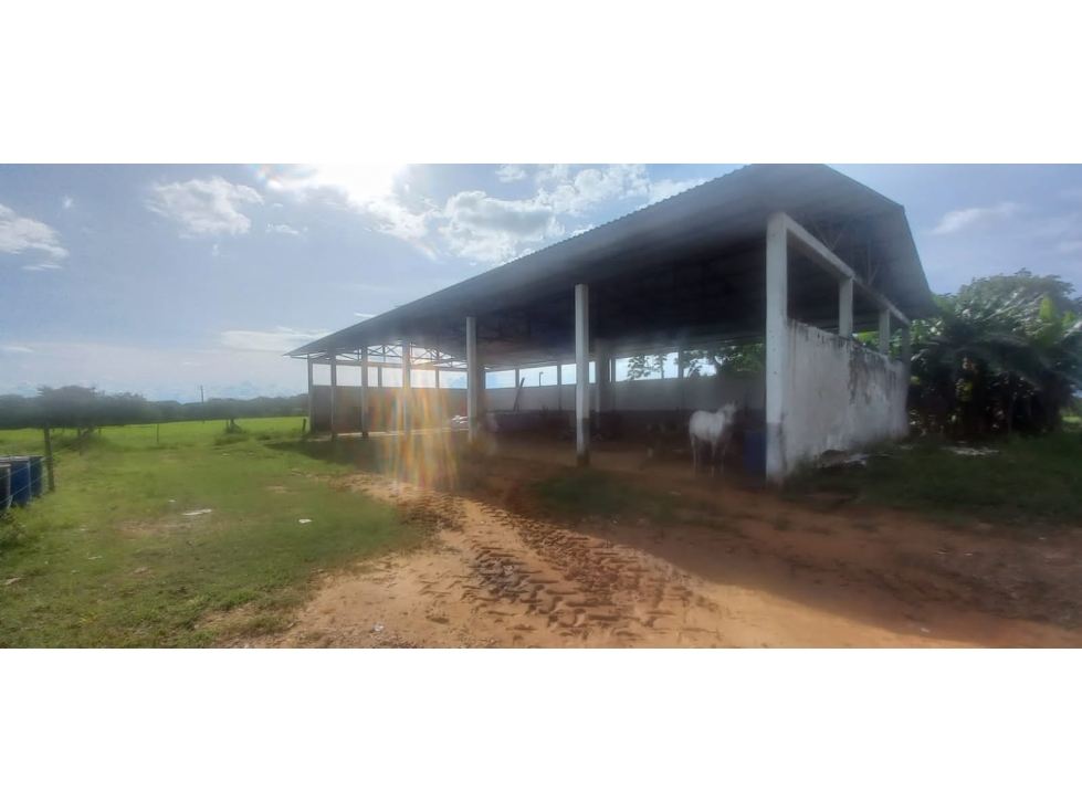 FINCA GANADERA EN PUERTO LOPEZ Meta VENTA