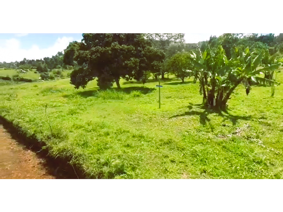 Venta de lotes en unidad cerrada de Guarne, Antioquia - Colombia.