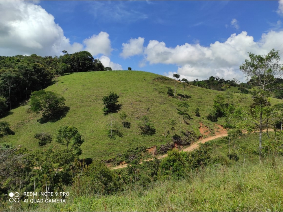 Venta finca Vereda La Unión Maceo Antioquia