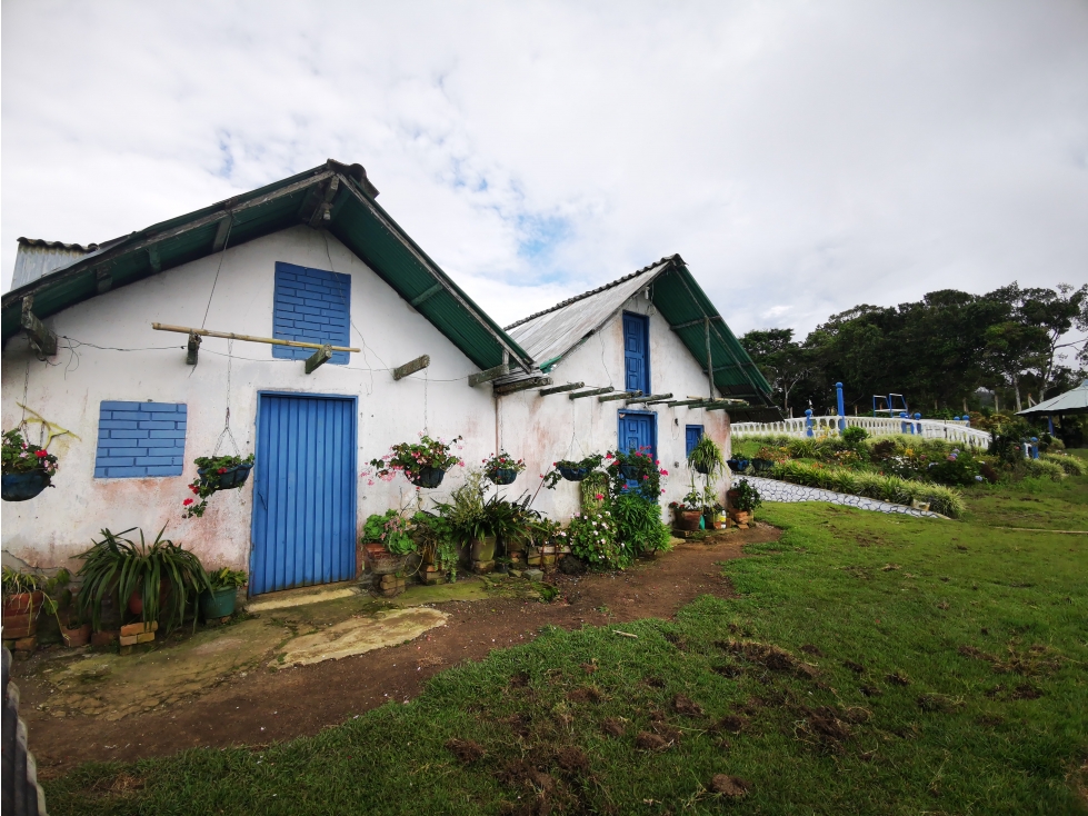 FINCA EN VENTA, QUEREMAL VEREDA MACHADO, RURAL, QUEREMAL.