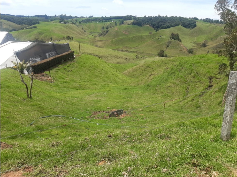 Finca Lechera, Santa Rosa de Osos Vereda Quitasol - Se Vende