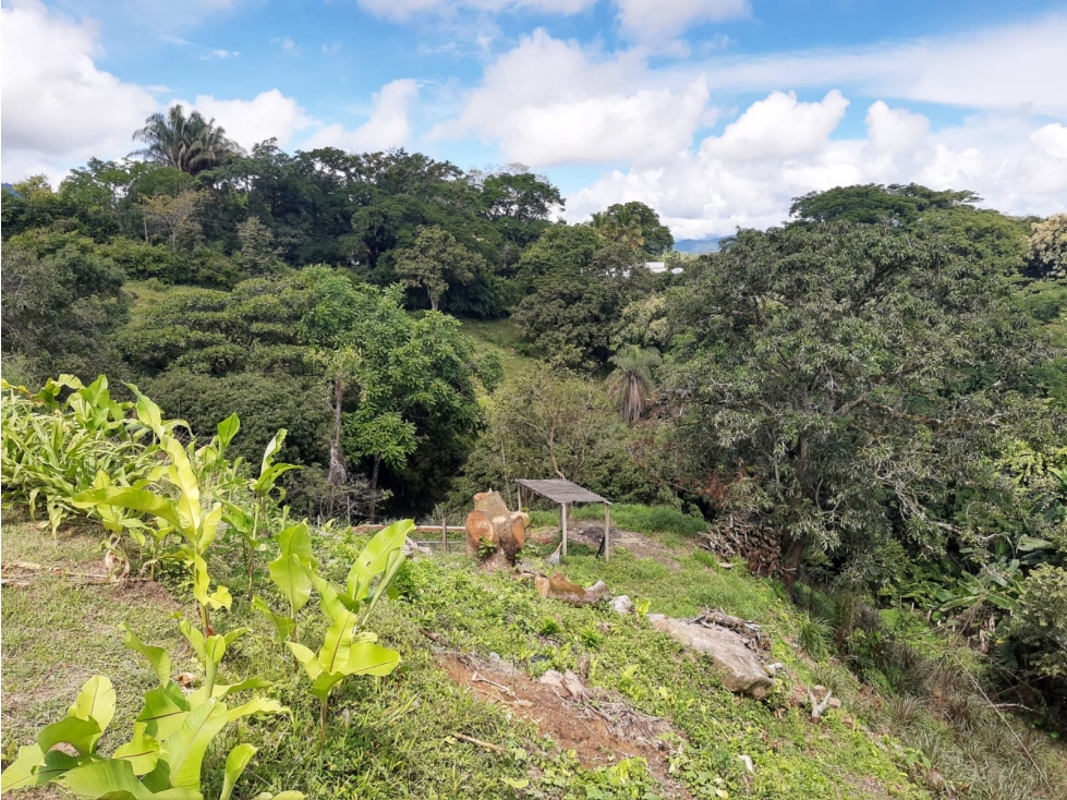 Finca San Jerónimo, Antioquia El Hato - Se Vende/Permuta