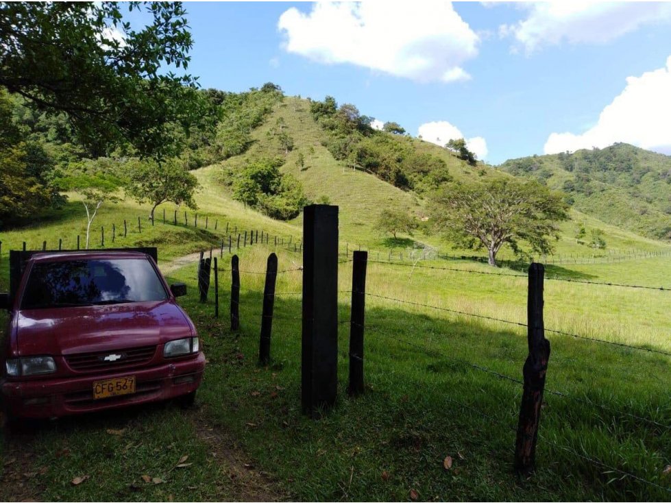 SE VENDE LOTE EN TORO - VALLE DEL CAUCA