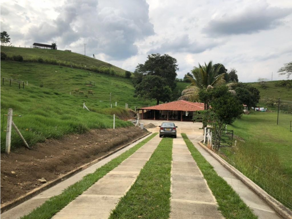 SE VENDE FINCA EN ROBLES - VALLE DEL CAUCA