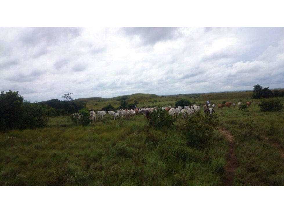 SE VENDE FINCA CERCA PUERTO LOPEZ