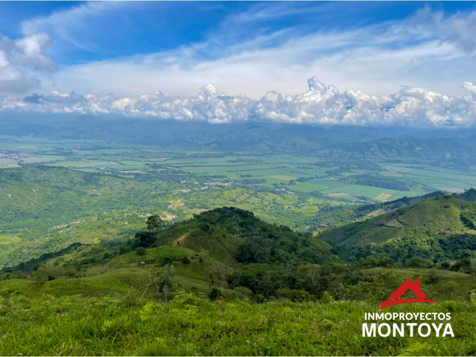 Increíble vista al valle de Risaralda? Finca ganadera en Belalcázar