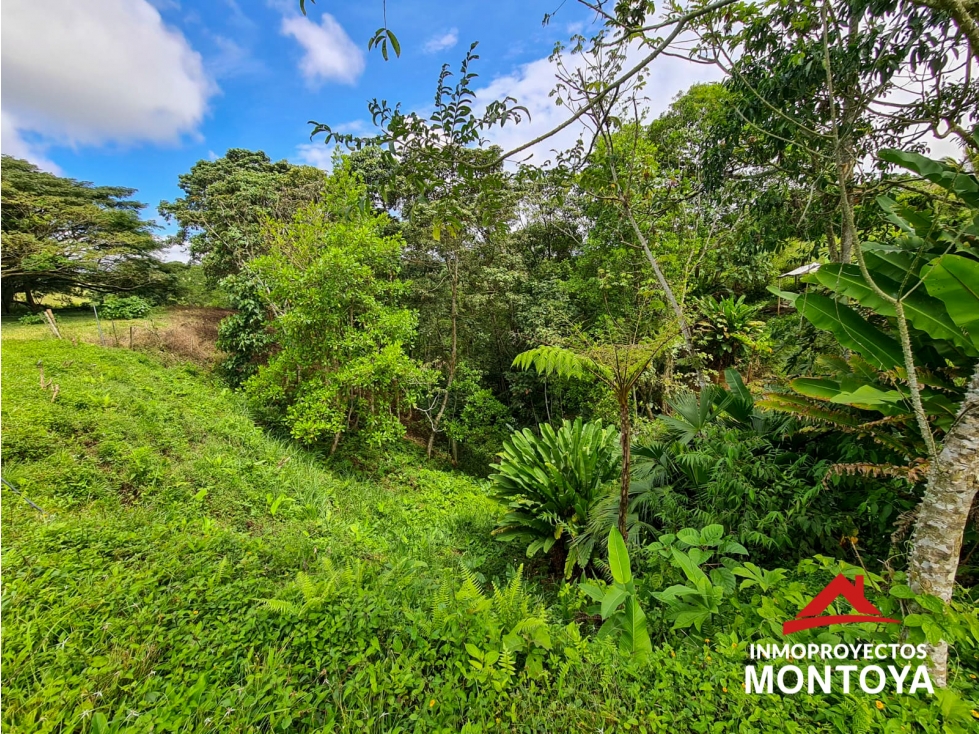 Lote campestre en El Tigre-Cerritos, Pereira