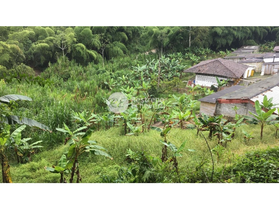 Vendo finca vereda El Rosario, Manizales