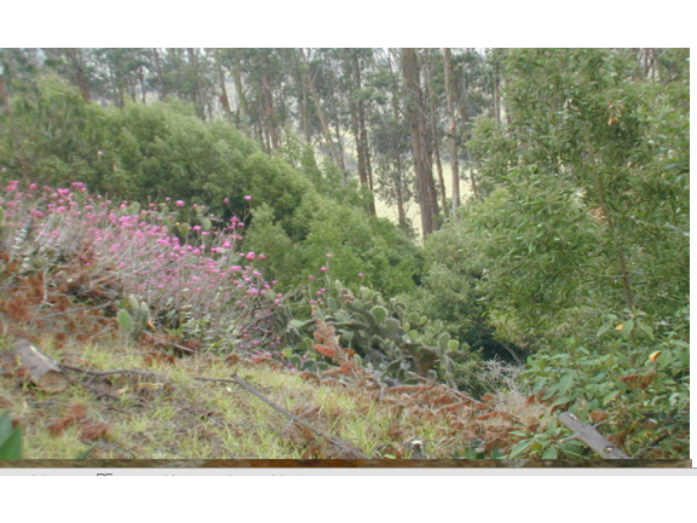 Finca 6 fanegadas en Bojacá, Cundinamarca